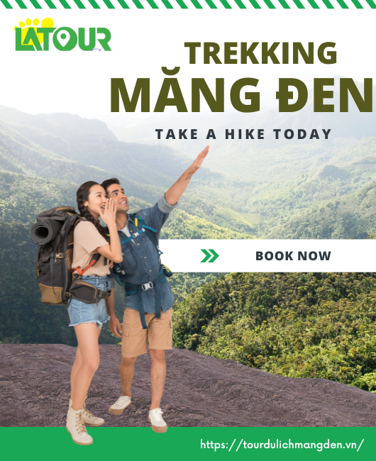 Tour Trekking núi Ngọc Lễ kết hợp cắm trại săn mây 2 ngày 1 đêm
